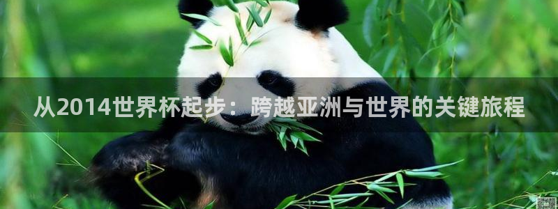 2026世界杯亚洲预选赛：从2014世界杯起步：跨越亚洲与世界的关键旅程