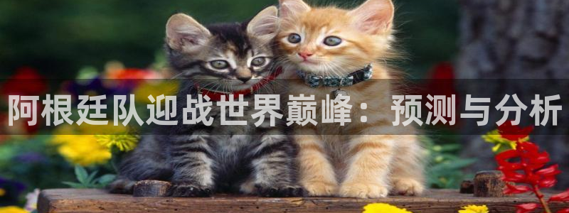 26世界杯：阿根廷队迎战世界巅峰：预测与分析