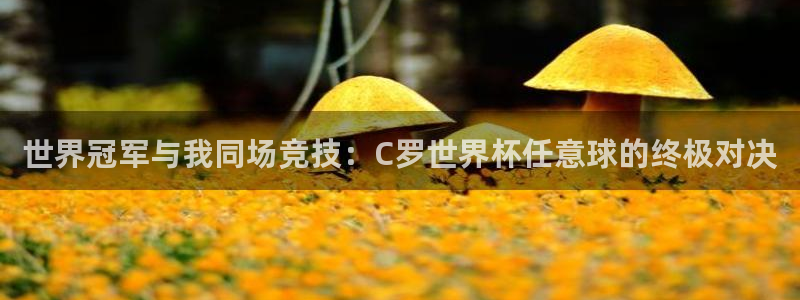 世界杯在线直播入口：世界冠军与我同场竞技：C罗世界杯任意球的终极对决
