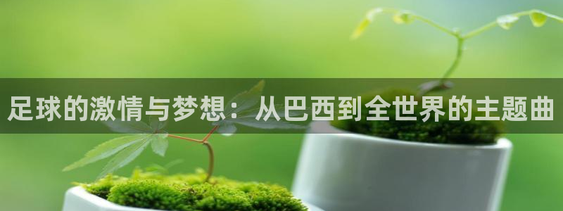 2026年世界杯赛程时间表格：足球的激情与梦想：从巴西到全世界的主题曲