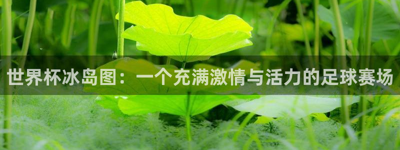 男足世界杯预选赛赛程：世界杯冰岛图：一个充满激情与活力的足球赛场