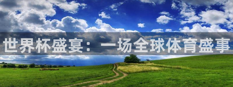 足球比分直播世界杯：世界杯盛宴：一场全球体育盛事