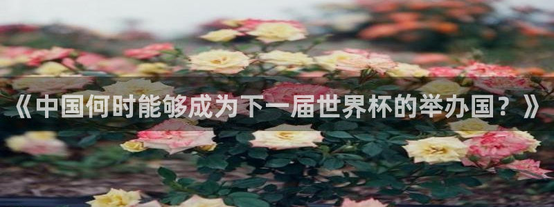 世界杯决赛直播：《中国何时能够成为下一届世界杯的举办国？》