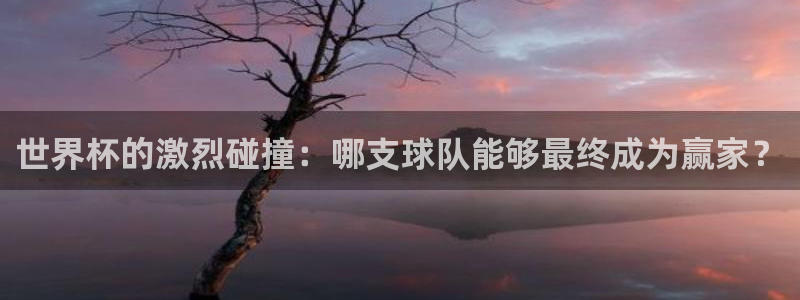 2026世界杯官网：世界杯的激烈碰撞：哪支球队能够最终成为赢家？
