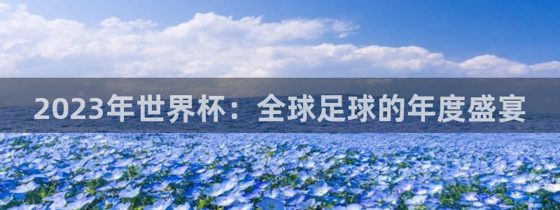 欧洲世界杯预选赛：2023年世界杯：全球足球的年度盛宴