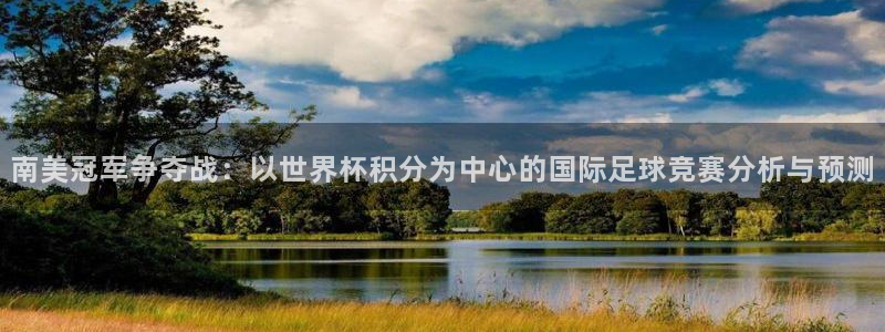 2026年世界杯赛程表时间：南美冠军争夺战：以世界杯积分为中心的国际足球竞赛分析与预测