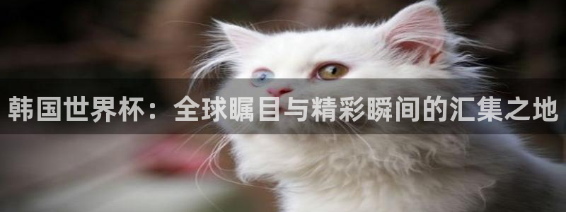 世界杯直播观看：韩国世界杯：全球瞩目与精彩瞬间的汇集之地