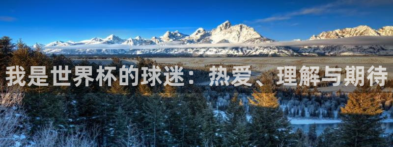 世界杯欧洲预选赛：我是世界杯的球迷：热爱、理解与期待