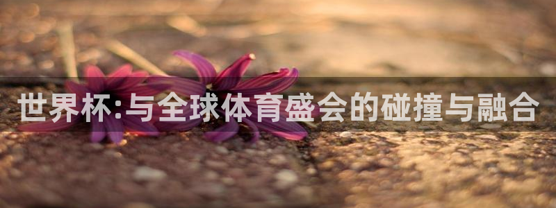 世界杯预选赛欧洲赛区赛程：世界杯:与全球体育盛会的碰撞与融合